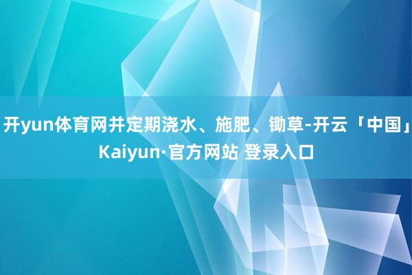 开yun体育网并定期浇水、施肥、锄草-开云「中国」Kaiyun·官方网站 登录入口