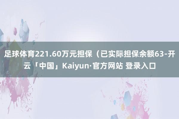 足球体育221.60万元担保（已实际担保余额63-开云「中国
