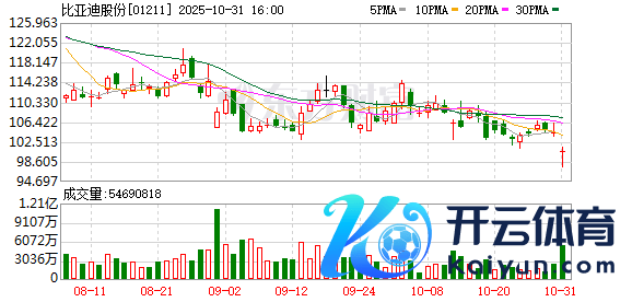 开yun体育网比亚迪新动力汽车销量同比增幅逐月放缓-开云「中