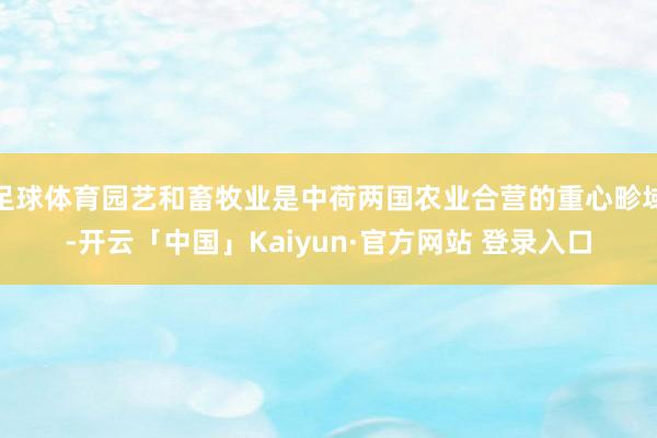 足球体育园艺和畜牧业是中荷两国农业合营的重心畛域-开云「中国